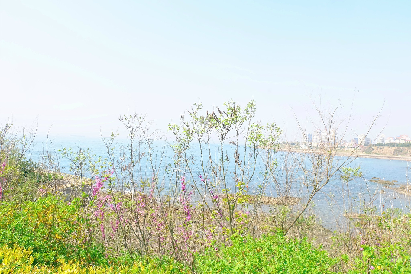 骆驼青岛,骆驼旅行在路上