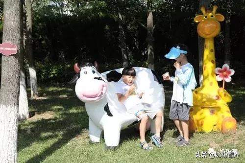 圣元优博:用品质收获国际青睐,以实力夺得世界奖项!