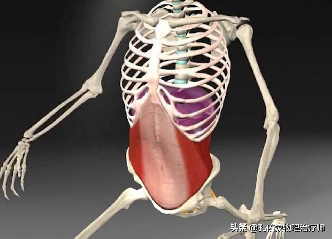 孕妈妈产后为什么会腰痛,产后三个月的宝妈腰酸腰疼咋回事