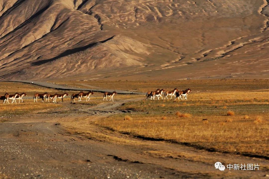 同饮一江水共话澜湄情现代诗,同饮一江水共话澜湄情是什么意思