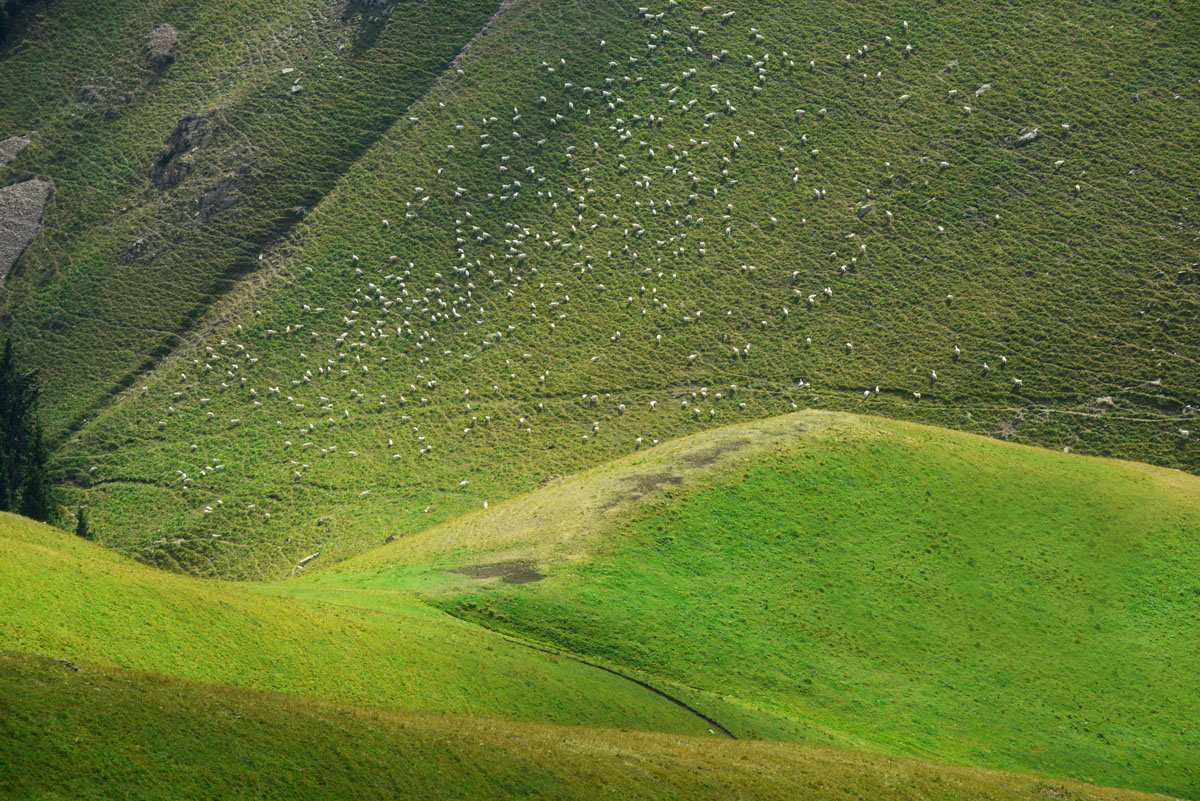 98年收回3万公顷领土,如今成我国最后一片净土,至今不许外人进