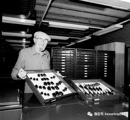 杀死兔子的方法,杀死兔子有什么后果