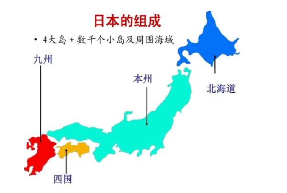日本海滩惊现大量乌贼尸体,日本海岸线发现巨型乌贼