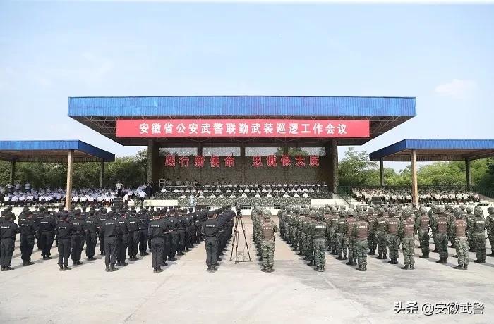 纪实视频,记实记录