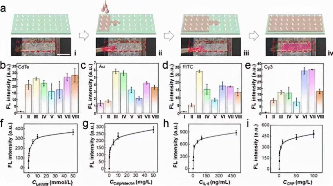 南京工业大学:一种可实现伤口智能管理的微针敷料