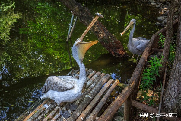 山东亲子乐园好玩吗,山东适合小宝宝玩的亲子乐园