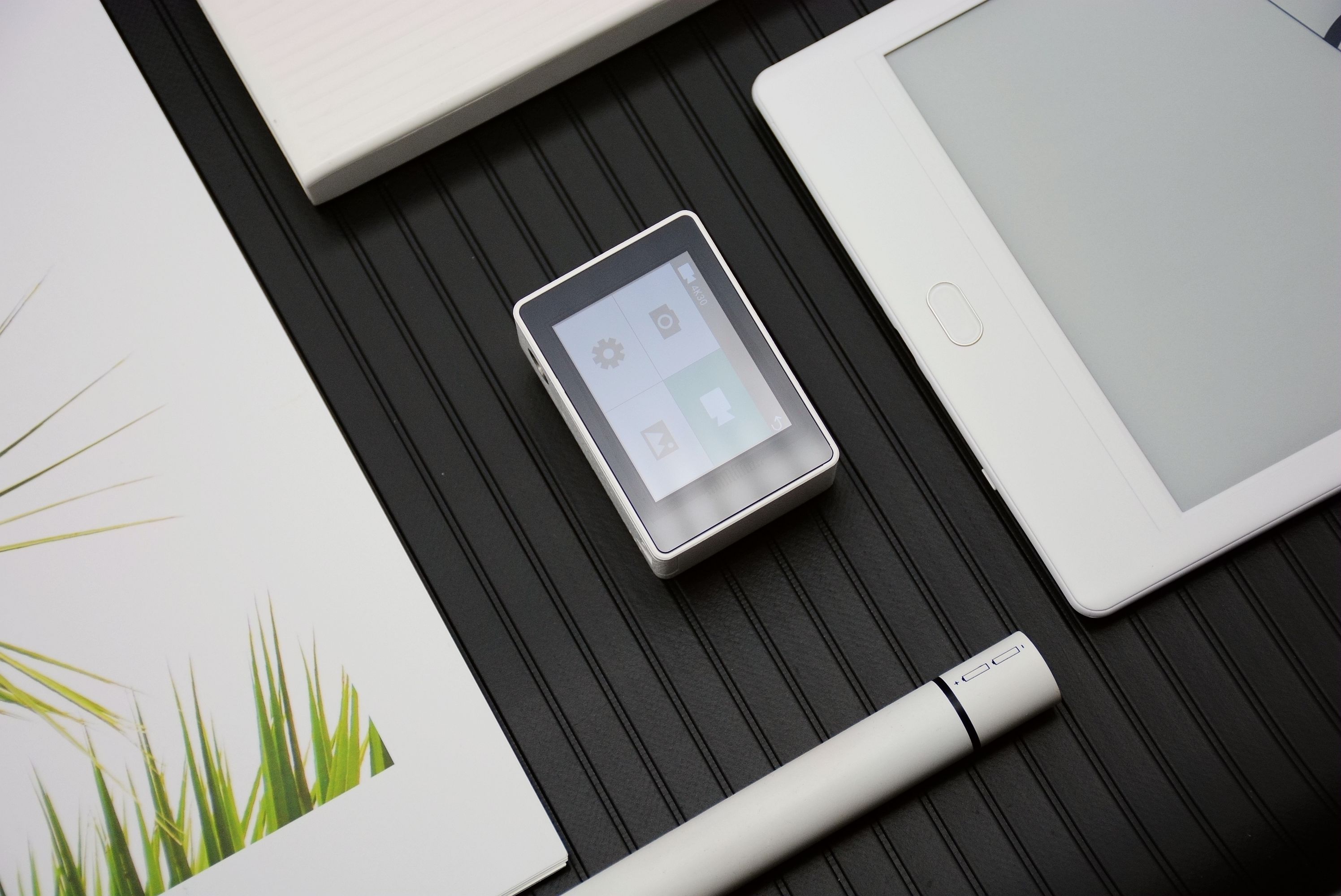 水下摄影4k,海鸟4k运动相机深度评测