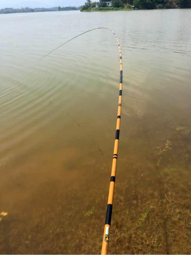 并继鱼竿和振出竿区别,振出式鱼竿和并继式鱼竿哪个好