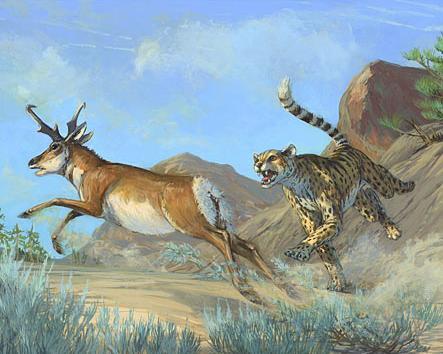 人类是真的经过设计的吗,大胆的推测