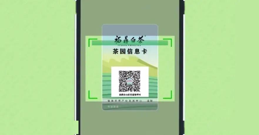 福鼎身份证办理流程,福鼎办身份证要去哪里