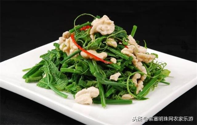 紫塞明珠张家界农家院,紫塞县农家院旅游