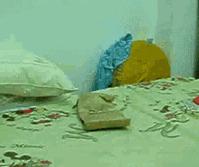 驱魔真人事件改编,恐怖电影驱魔夫妇