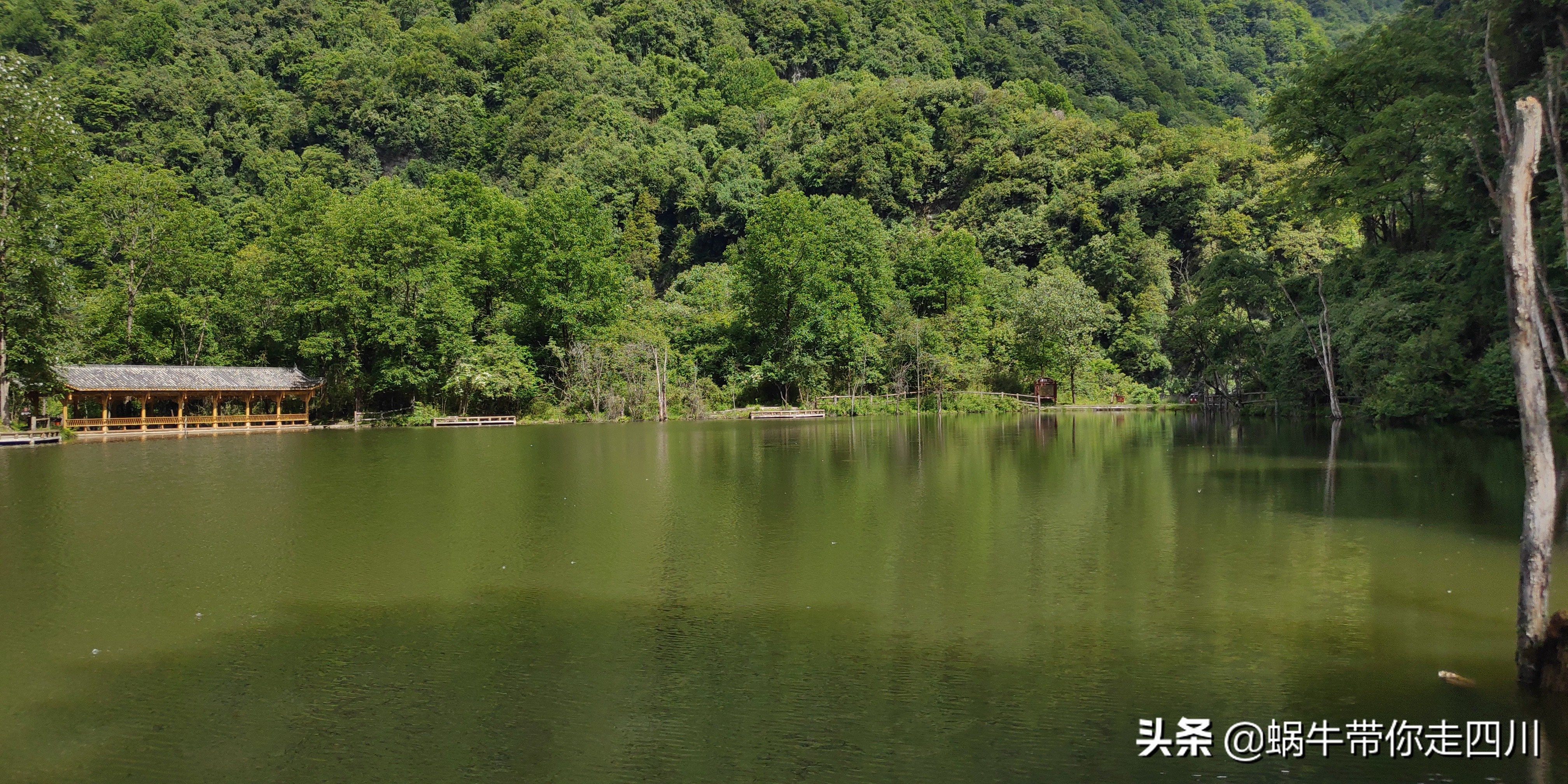 带小朋友出去看小动物,带小孩去海洋动物园
