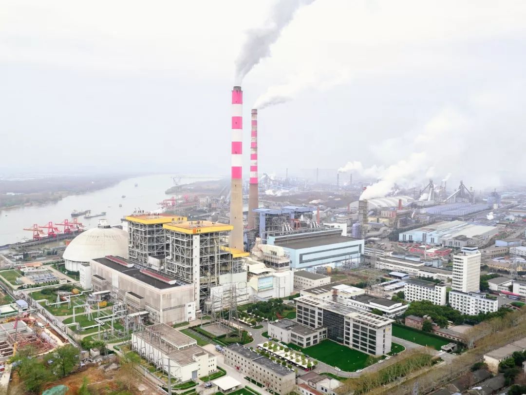 大厂真实生活现状,在大厂呆了3年的人