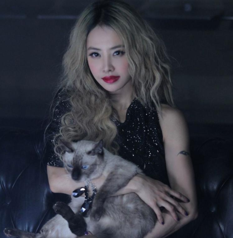 李娜重回乐坛了吗,李娜被遗忘的一代歌后