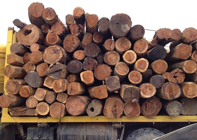 缅甸花梨的六大优点,真正的缅甸花梨