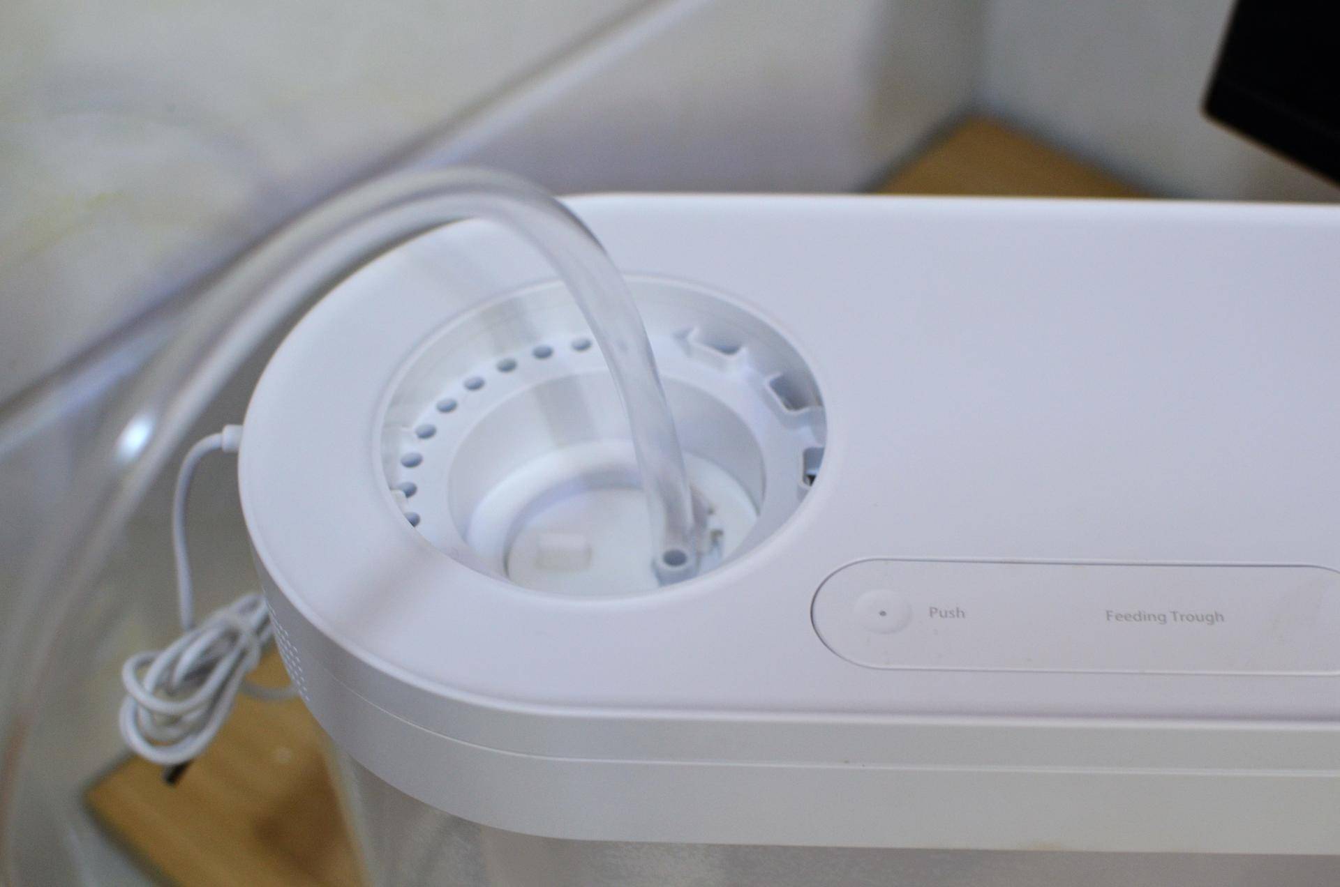 小米生态鱼缸养巴卡雷龙,小米生态缸养鱼入门基础教程