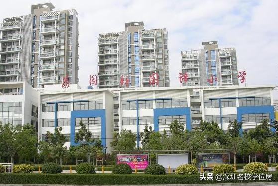 深圳小学10强有哪些,深圳各区小学教育综合实力排名