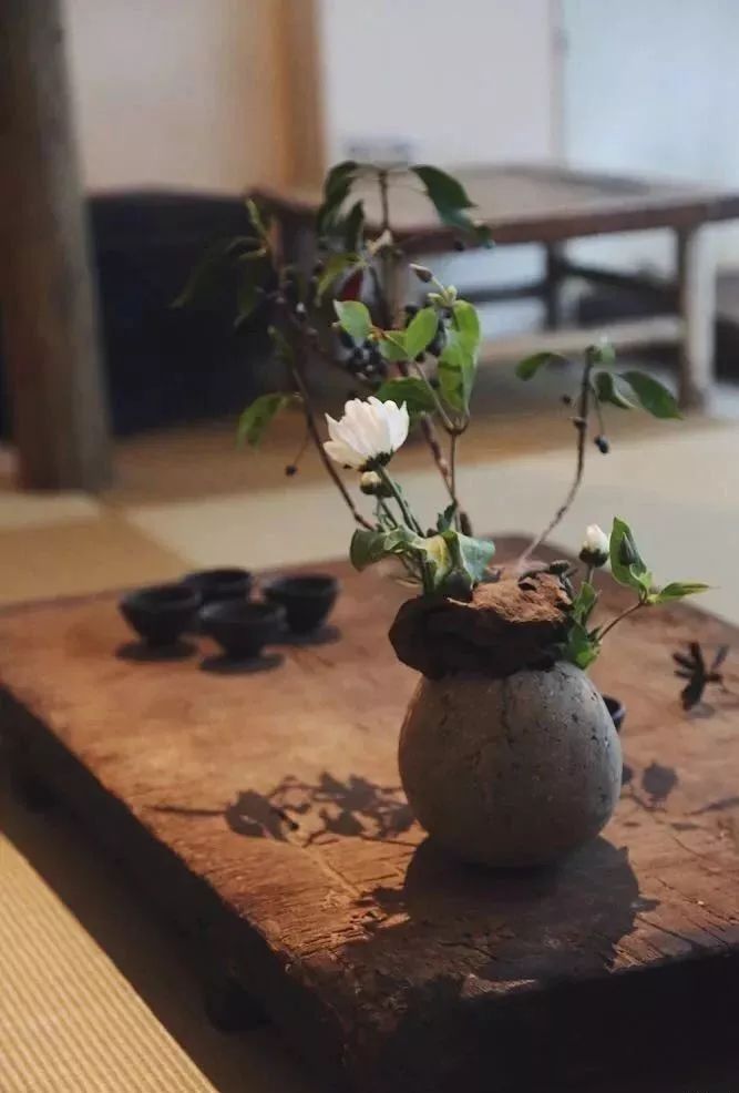 和舒服的人在一起就是养生,和舒服的人在一起就是养生的句子