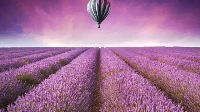 100个人生哲理短片,30个经典人生哲理