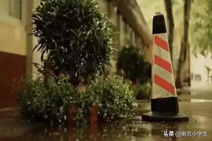 南京金陵中学高考成绩2020,江苏南京金陵中学