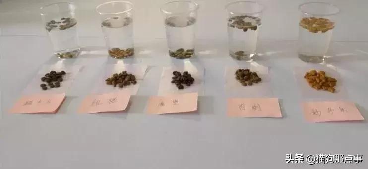 渴望六种鱼猫粮真假对比图,猫粮测评哪个最靠谱