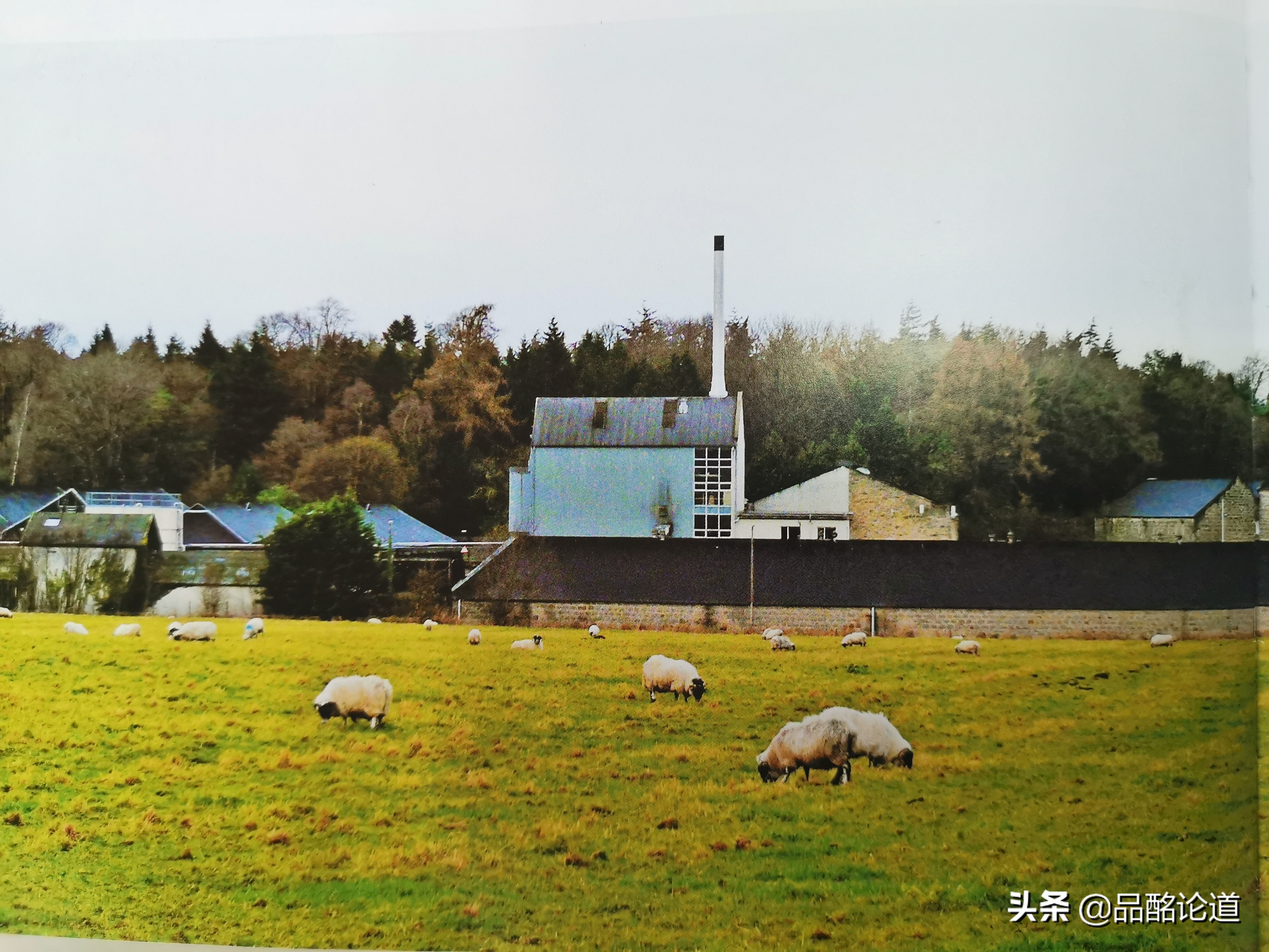 类似山崎的苏格兰威士忌,和山崎口感相似的威士忌