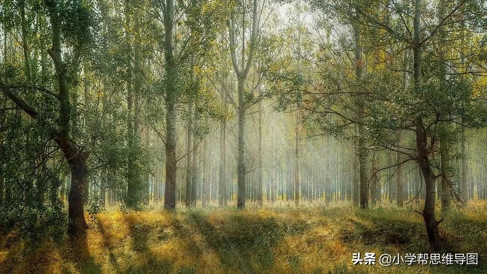 我的家乡风景作文400字优秀,家乡的春天300字优秀作文