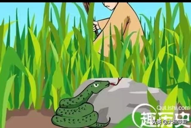 鎴愯鏁呬簨鎵撹崏鎯婅泧鎴愯鐞嗚В,鎵撹崏鎯婅泧鎴愯鏁呬簨瀵撹█鏁呬簨