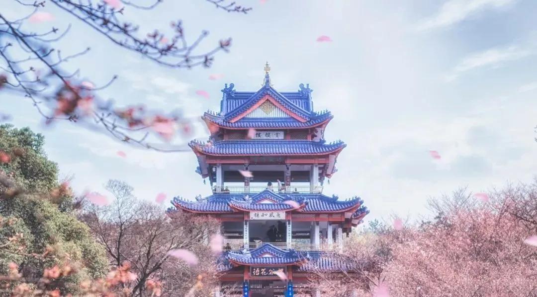 100句美到可以签名的诗句,美到极致的签名诗句