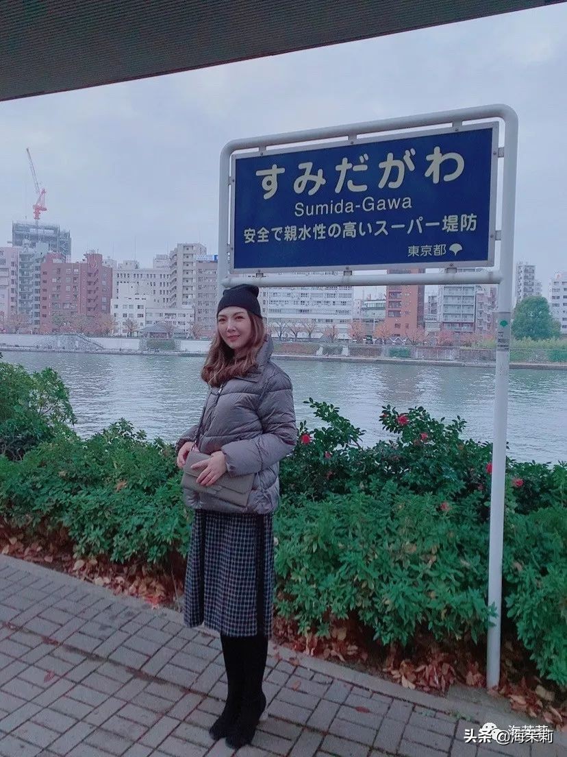 日本东京旅游攻略自由行,单人日本东京旅游攻略