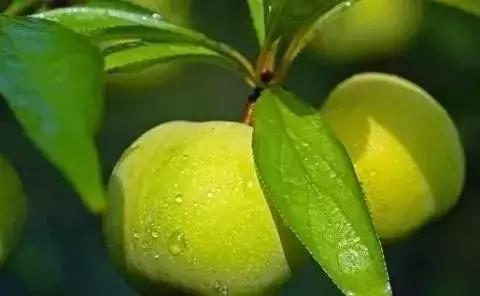 贵州黔东南为什么那么火,黔东南在贵州算不算穷的地方