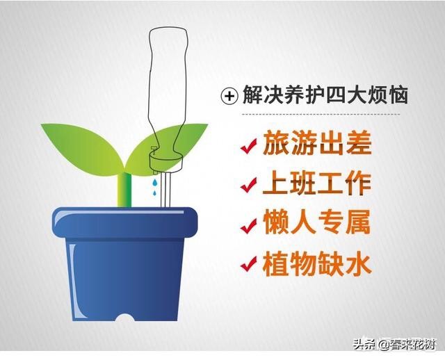 出差旅行又担心花草没浇水干死?学会三招,出去多久都不用担心