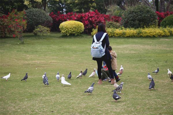 厦门什么地方吹海风吃着美食,厦门必吃海鲜吹海风