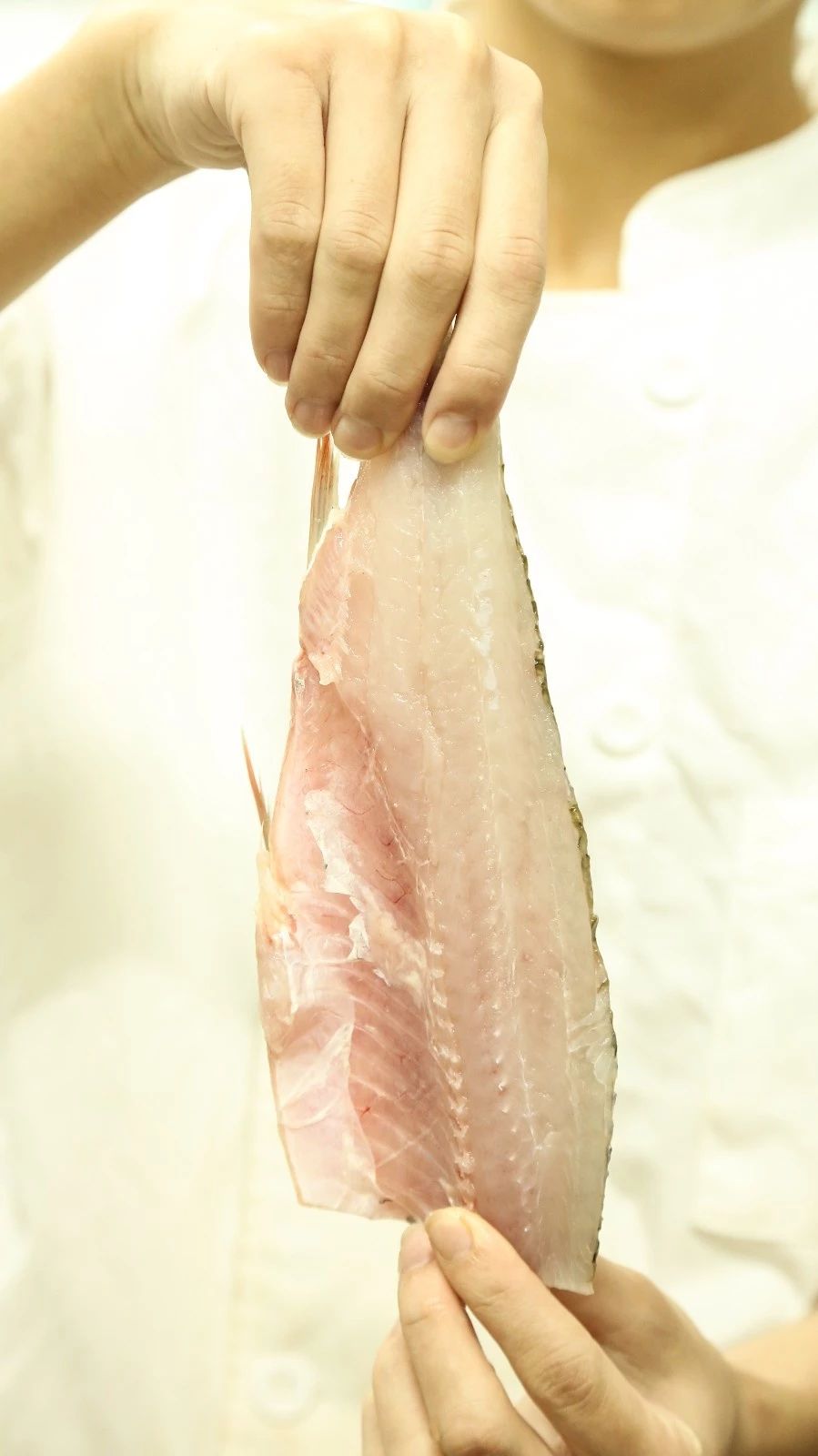 “凉飕飕”火锅来到深圳，清甜消暑！还有龟苓膏送~