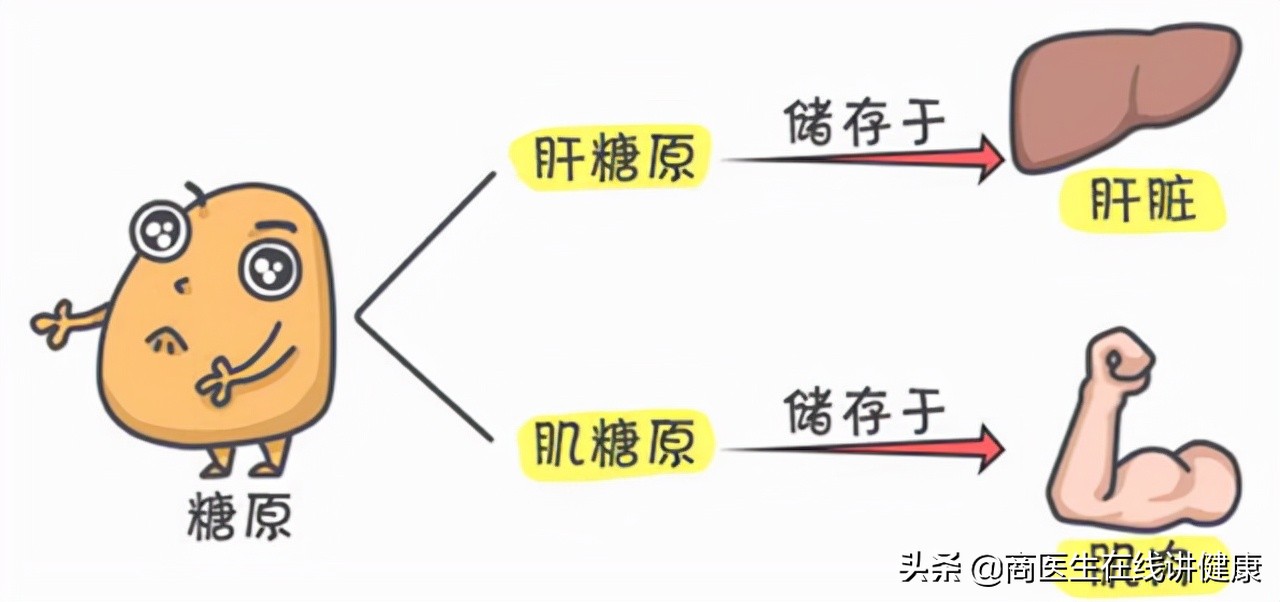 为什么吃二甲双胍血糖降不下来,每天吃二甲双胍为啥血糖降不下来