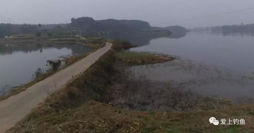 仁寿县黑龙滩年出鱼量,黑龙滩水库老窝子