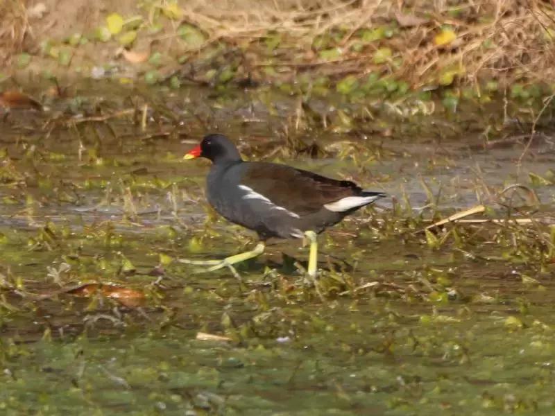 鐢熷鑺卞洯妗堜緥,鐢熷鑺卞洯