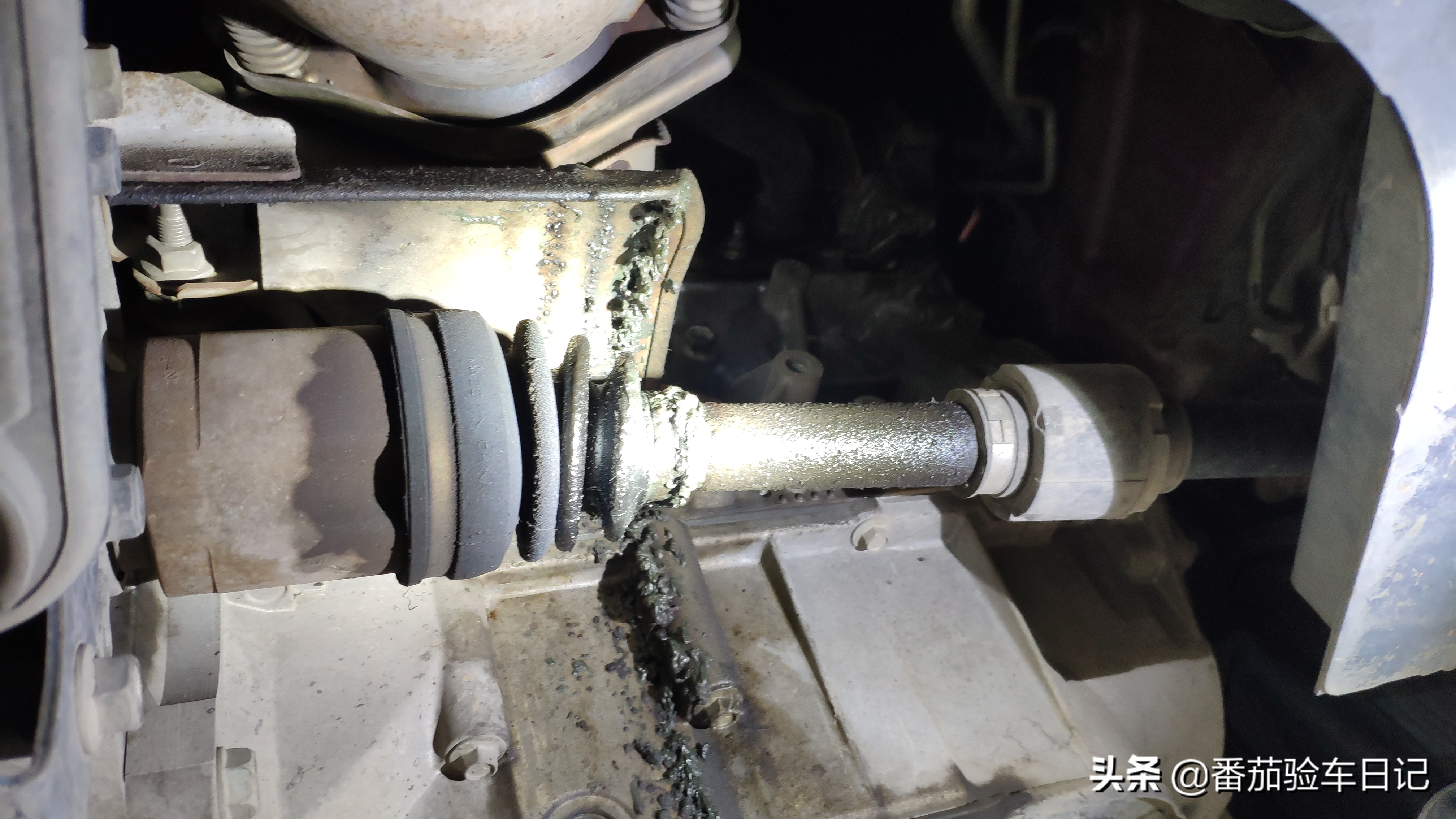 苍天饶过谁十年后的报应,苍天饶过谁节选