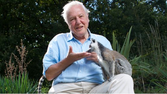 大卫爱登堡为地球发声的纪录片,大卫爱登堡纪录片七个星球