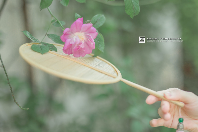 苏州旅游最不能错过的江南园林,留园拙政园是苏州著名的园林