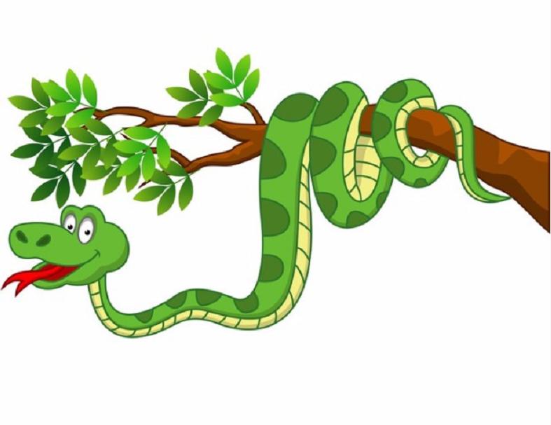 黑龙江省女子与蛇相处15年,黑龙江一女子与蛇共处十几年