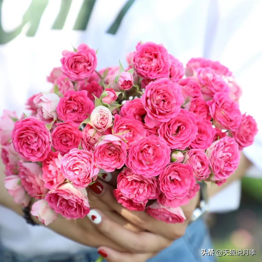 不容易，天狼自育终于打折了！空蒙只要50不到！