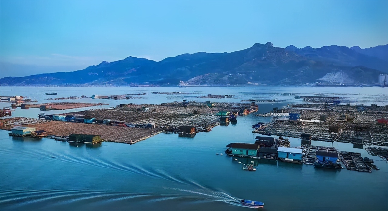 第一届T11“好物营九大爆款”正式出道，请你来打call