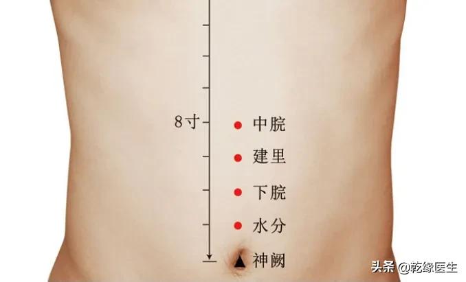 六脏六腑各有一募穴（二）