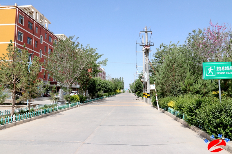 临泽融媒:蓼泉镇巾帼展风采扬帆新征程