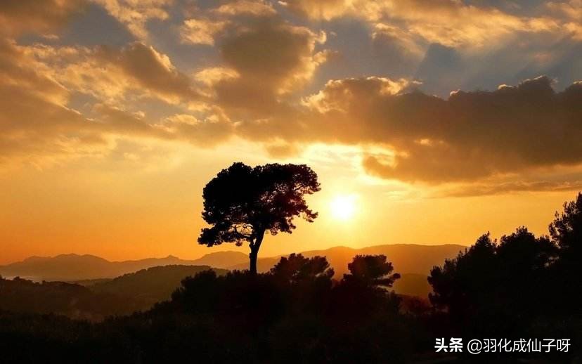 道德经第一章道可道非常道成,道德经上讲的道可道非常道