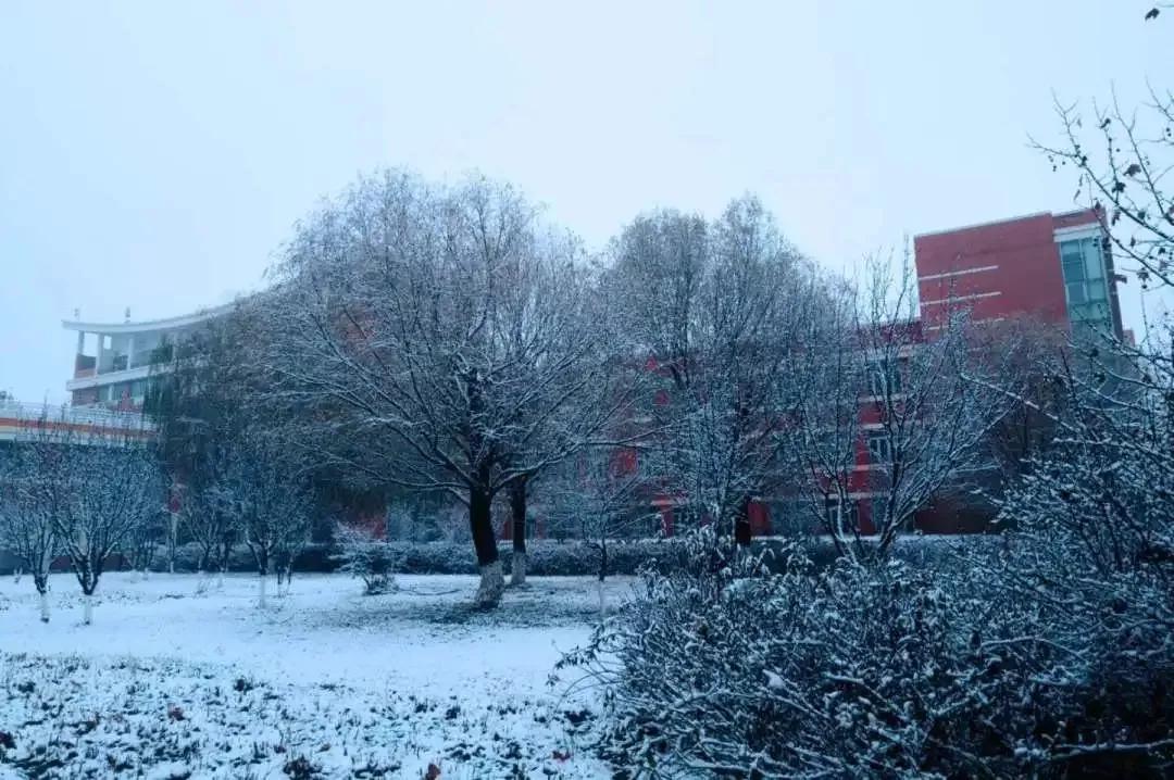 北京科技大学天津学院原独立学院,北京科技大学天津学院独立学院