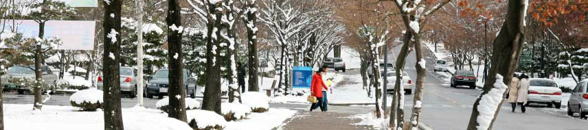 韩国留学生活省钱技巧,韩国留学生活注意什么事项