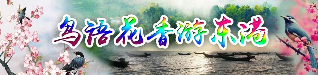 辽宁东港市海鲜美食节精彩呈现,丹东东港海鲜美食推荐